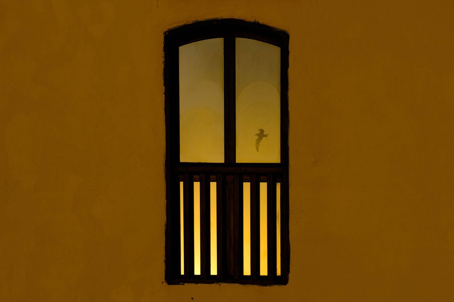 Maroc - Sélection 15