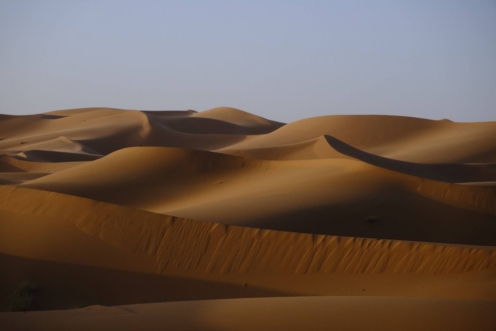 Maroc - Sélection 24