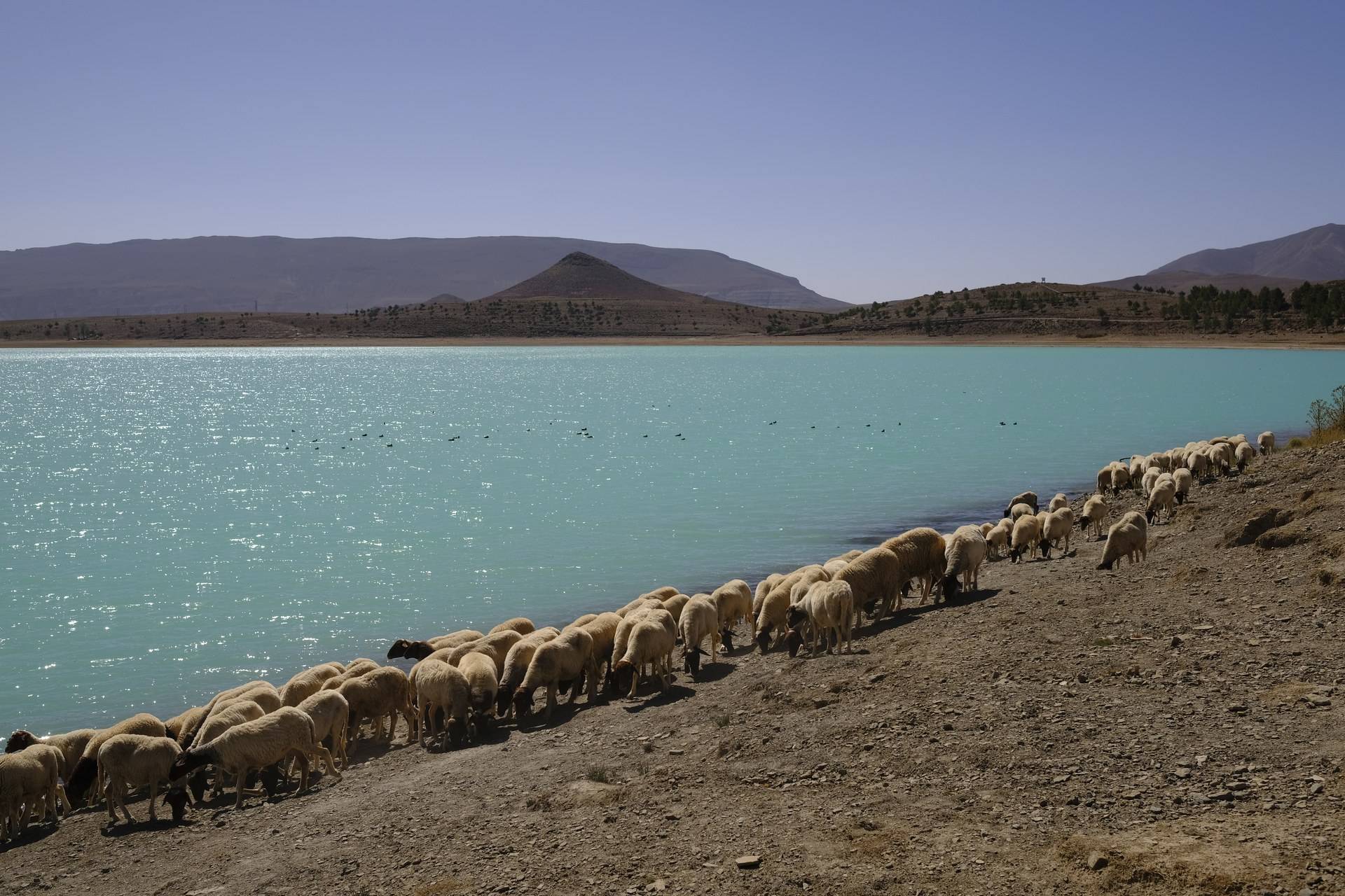 Maroc - Sélection 2