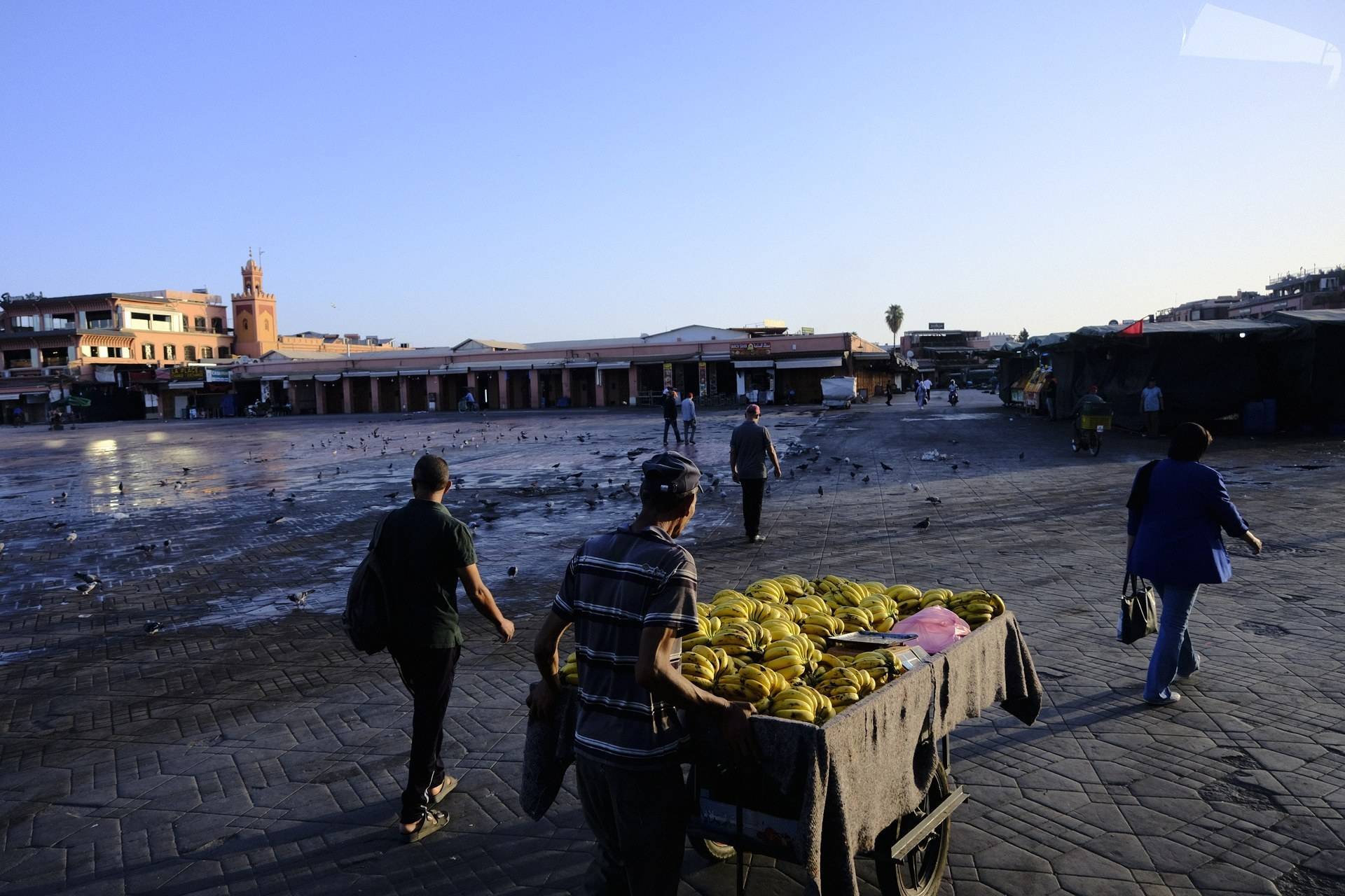 Maroc - Sélection 5